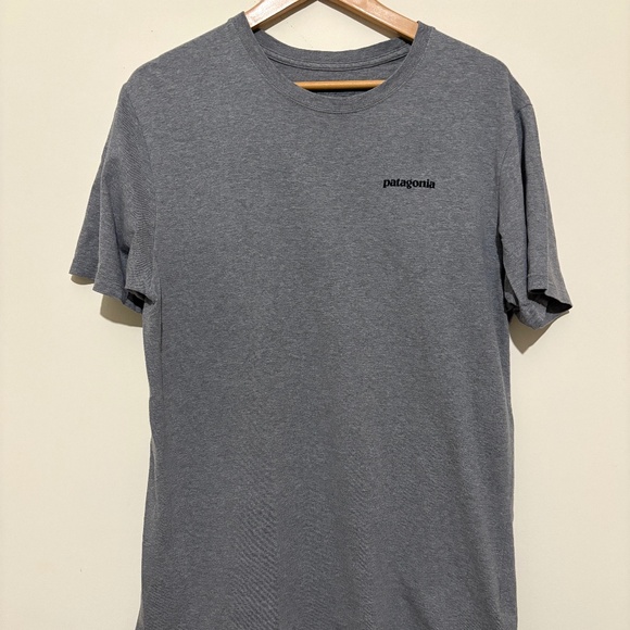 Patagonia Regular Fit T-Shirt (3 for $75) - Picture 1 of 4